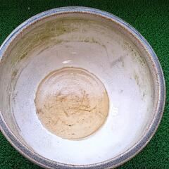 メダカの屋外飼育で使用していた火鉢　直径約40cm高さ約20cm