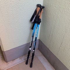 登山用のトレッキングポール
