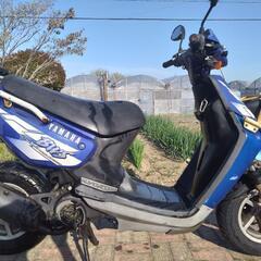 BWS100