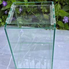 ガラス水槽200ハイ②受け渡し者決定しました。