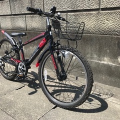 お値下げいたしました！自転車24インチ✨ドライドバイクの画像