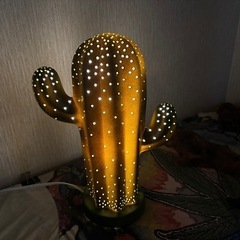 ニトリ　サボテン照明　ライトの画像