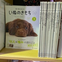 🍀雑誌／いぬのきもち32冊まとめて