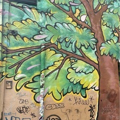 関東近郊の山や森🌲