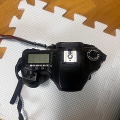 CANON EOS 40Dの画像