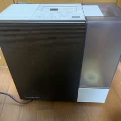 日本製美容加湿器
