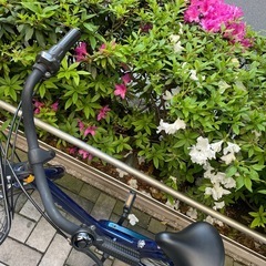 自転車　カゴ付き　変速ギア次　ブルー　青の画像