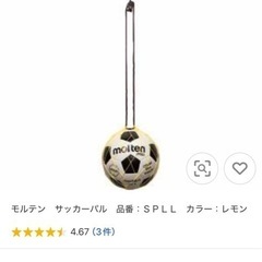 サッカーパル
