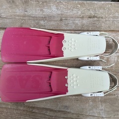 SAS SWEERENT の画像