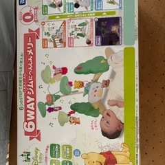 旧型 プーメリー 動作問題なし