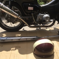 リトルカブの画像
