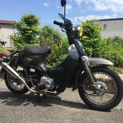 リトルカブ