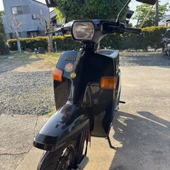 ヤマハベルーガ50　