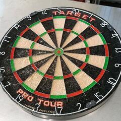 0503-288 TARGET PRO TOUR　ハードダーツボード