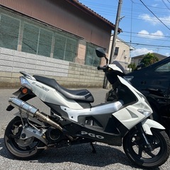 PGOGマックス200