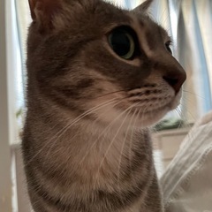 音楽を楽しむ仲間を募集しています⭐︎