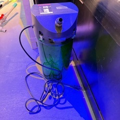 中古　エーハイム　2213
