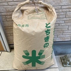 古玄米　令和４年　コシヒカリ② 30kg 