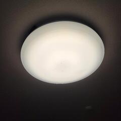 LED証明