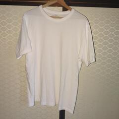 白Ｔシャツ２枚GUスーパーカーゴパンツセット