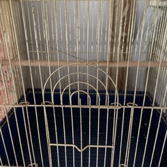 小鳥小屋の画像