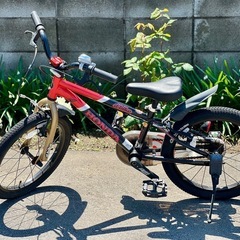 ディーバイク  ホンダ16子供