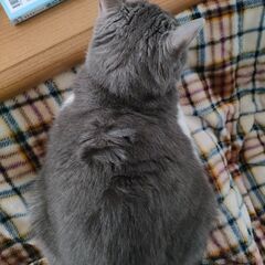 友達募集🐱🐶