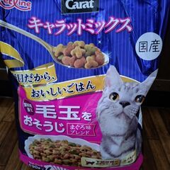 キャットフード　2､7kg