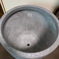 植木鉢 観葉植物 大型の画像