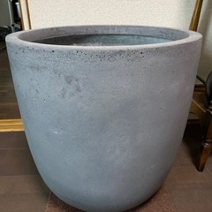 植木鉢 観葉植物 大型の画像