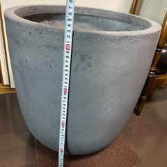 植木鉢 観葉植物 大型の画像