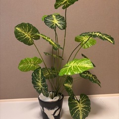 フェイク　観葉植物　