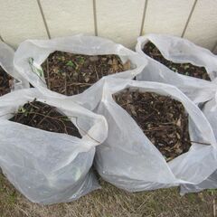 【無料】落ち葉を含んだ腐葉土 8袋の画像
