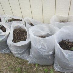 【無料】落ち葉を含んだ腐葉土 8袋の画像