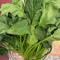 無農薬ほうれん草と玉ねぎ　ご予約済み