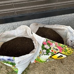 【取引中】庭の土を差し上げます！の画像