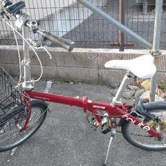（現地引き渡し）DAHON ルート　route ルビーレッド 折...
