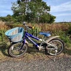 ブリヂストン子供自転車16インチの画像