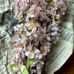 造花の画像