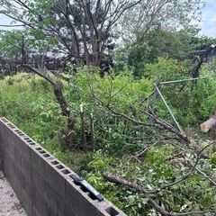 好きに持って帰って下さい！の画像