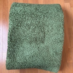 【ニトリ】Nウォームのラグ