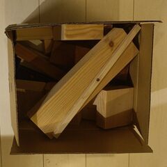 キャンプ　焚火用木材　薪　無料　その2