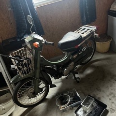 mate50