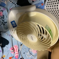 サーキュレーター