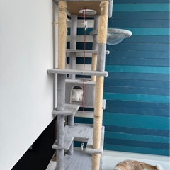 キャットタワー