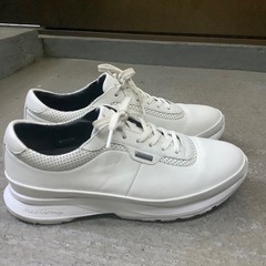 Mizuno SELECT-MW 300 ホワイト GORE-TEXの画像