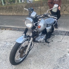 ボルティー250【211】