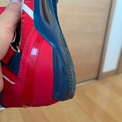 陸上スパイク25センチの画像