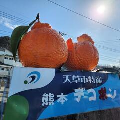 友達募集 − 熊本県