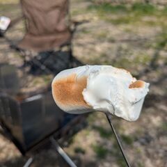 ゆるっとデイキャン仲間募集